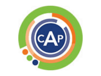 Certified Analytics Professional (CAP)